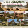 7 Best USA Safaris for Solo Female Travelers (Wildlife Adventures You’ll Love)