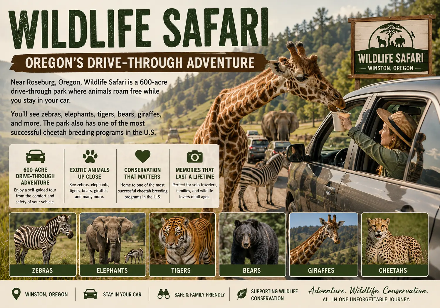 Wildlife Safari Oregon’s DriveThrough Adventure