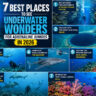 7 Best Places to See Underwater Wonders for Adrenaline Junkies in 2026